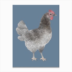 Miss Hen Chicken Canvas Print