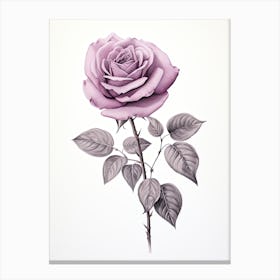 Roses Flower Vintage Botanical 2 Canvas Print