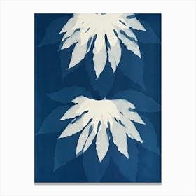 Blue cyanotype flower print Canvas Print