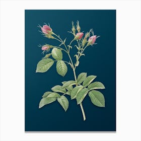 Vintage Evrat's Rose with Crimson Buds Botanical Art on Teal Blue n.0118 Canvas Print