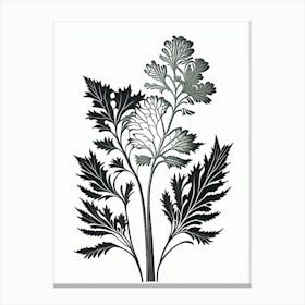 Lovage Herb William Morris Inspired Line Drawing 3 Canvas Print