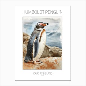 Humboldt Penguin Carcass Island Watercolour Painting 3 Poster Canvas Print