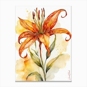 Orange Flame Lily Flower Canvas Print