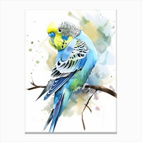 Budgie Watercolor Painting Colorful Illustration Canvas Print