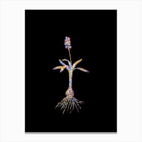 Stained Glass Scilla Lingulata Mosaic Botanical Illustration on Black n.0014 Canvas Print