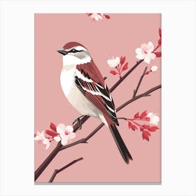 Minimalist House Sparrow 1 Illustration Canvas Print