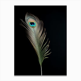 The Peacock Canvas Print