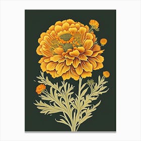 Desert Marigold Wildflower Vintage Botanical 1 Canvas Print