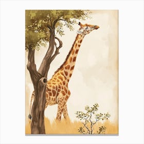 Giraffe Reaching Up To The Leaves 3 Canvas Print