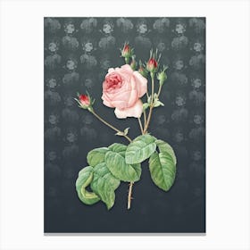 Vintage Cabbage Rose Botanical on Slate Gray Pattern n.0833 Canvas Print