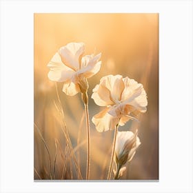 Boho Dried Flowers Evening Primrose 1 Canvas Print