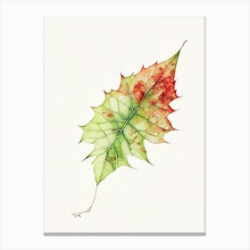 Virginia Creeper Leaf Minimalist Watercolour 2 Canvas Print