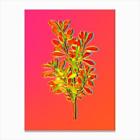 Neon Bog Myrtle Botanical in Hot Pink and Electric Blue n.0092 Canvas Print