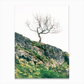 Lone Tree Canvas Print