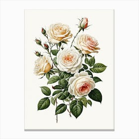 Vintage Galleria Style Rose Art Painting 23 Canvas Print