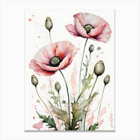 Pink Poppies Canvas Print