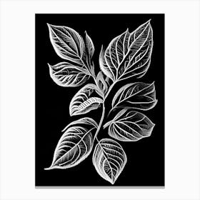 Oregano Leaf Linocut 2 Canvas Print