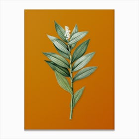 Vintage Smilacina Stellata Botanical on Sunset Orange n.0785 Canvas Print