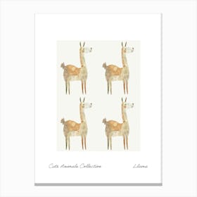 Cute Animals Collection Llama 3 Canvas Print