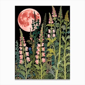 William Morris Full Moon In The Garden Canvas Print