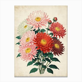 Chrysanthemums 1 Canvas Print