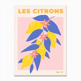 Les Citrons 1 Canvas Print
