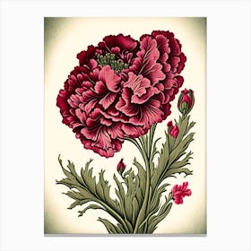 Carnation 3 Floral Botanical Vintage Poster Flower Canvas Print
