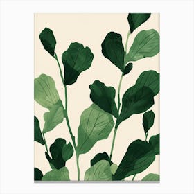 Chinese Evergreen Plant Minimalist Illustration 8 Canvas Print