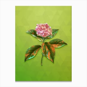 Vintage French Hydrangea Botanical Art on Love Bird Green n.0848 Canvas Print