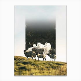 Sheep And Wolves Canvas Print