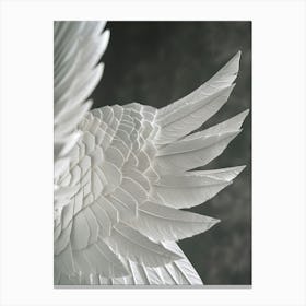 Poster Bw Wings 1 Canvas Print