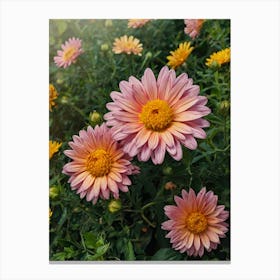 Chrysanthemums Canvas Print