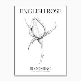 English Rose Blooming Line Drawing 2 Poster Canvas Print