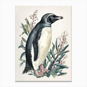Adlie Penguin King George Island Vintage Botanical Painting 4 Canvas Print