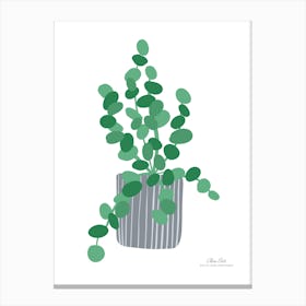 Cactus A fine artistic print that decorates the place. Canvas Print
