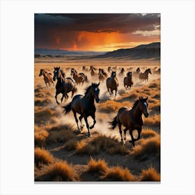 Sunset in the Wilderness Horses Canvas Print