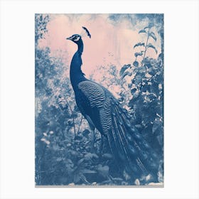 Peacock In The Wild Cyanotype Inspired 3 Canvas Print