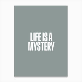 Life Is A Mystery Canvas Print