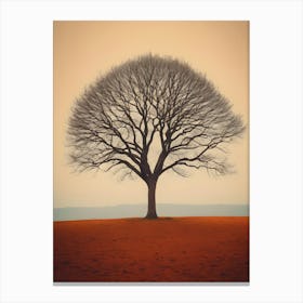 Bare Tree Canvas Print
