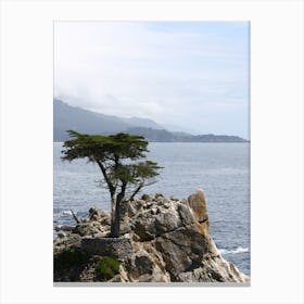 Majestic Lone Pine Iconic Beauty Of California Canvas Print