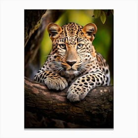 Leopard Relaxing On A Branch Canvas Print