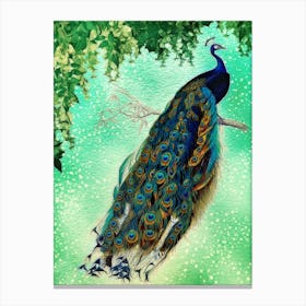 Vintage Peacock Plumage bird Canvas Print