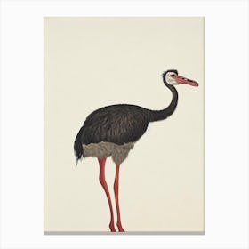 Ostrich Illustration Bird Canvas Print