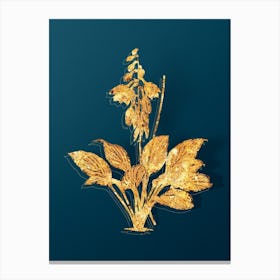 Vintage Daylily Botanical in Gold on Teal Blue n.0082 Canvas Print