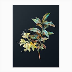 Vintage Yellow Azalea Botanical Watercolor Illustration on Dark Teal Blue n.0151 Canvas Print