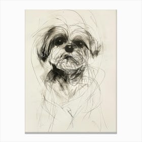 Maltese Dog Charcoal Line 3 Canvas Print