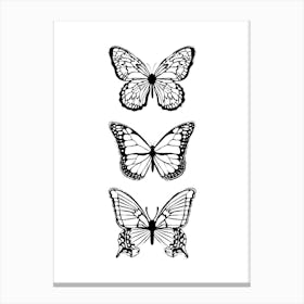 Black Butterflies Canvas Print