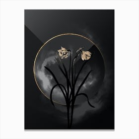 Shadowy Vintage Narcissus Candidissimus Botanical in Black and Gold n.0161 Canvas Print