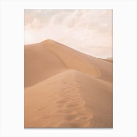 Sand Dune Sunset Canvas Print