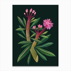 Pink Tropical Flower Canvas Print